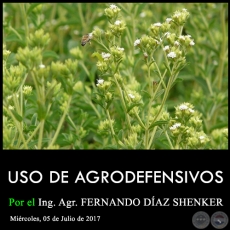 USO DE AGRODEFENSIVOS - Ing. Agr. FERNANDO DAZ SHENKER - Mircoles, 05 de Julio de 2017